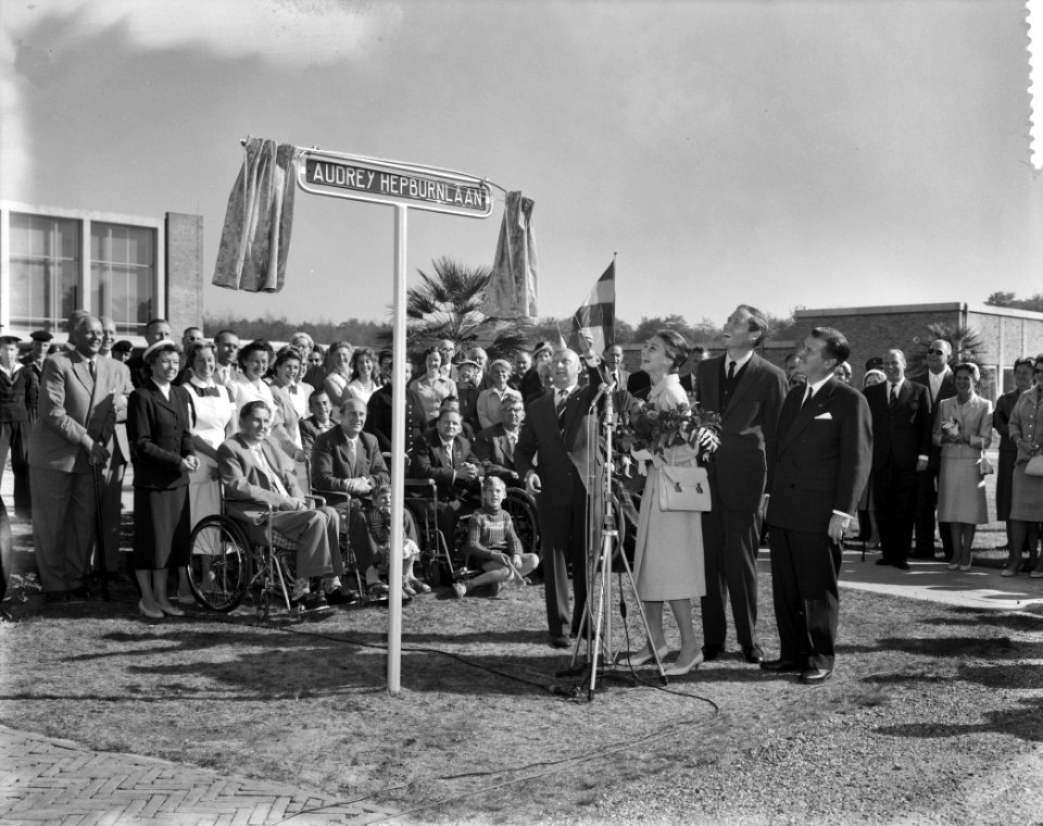 Audrey Hepburn onthult straatnaambordje in Doorn met Mell Ferrer. De onthulling , Bestanddeelnr 910-7183