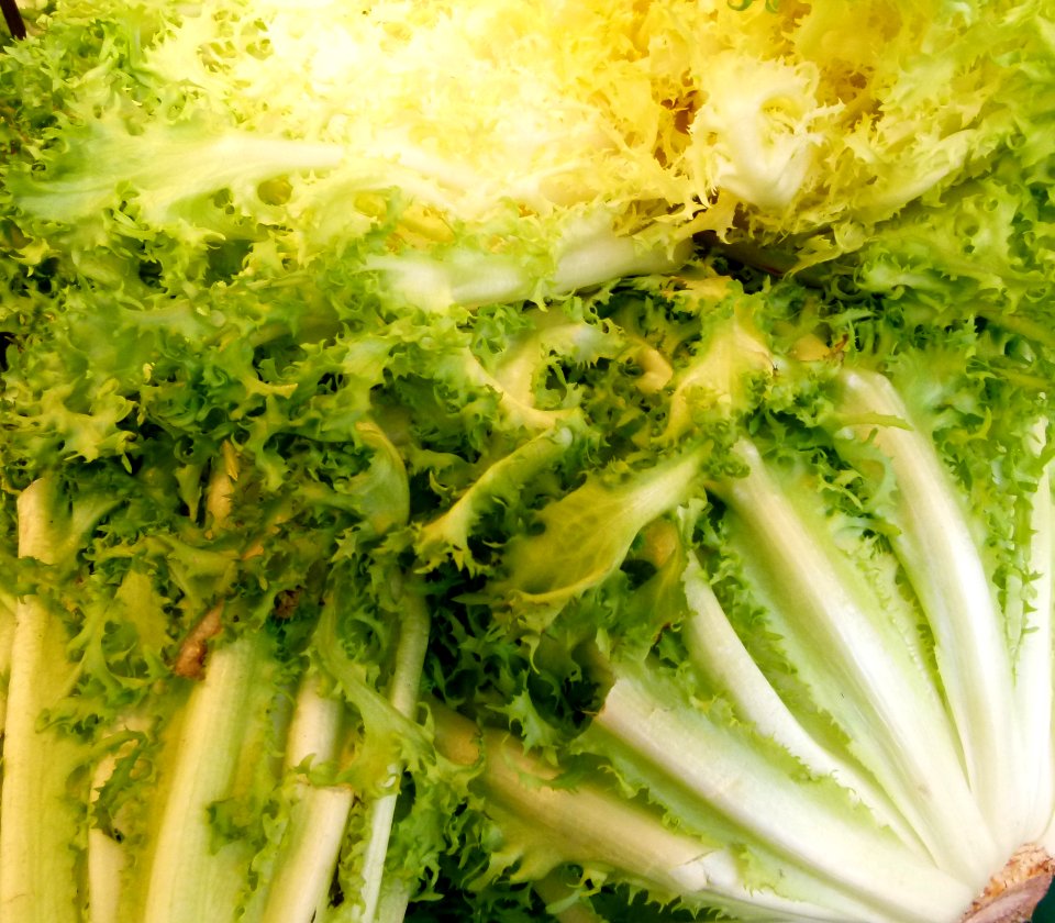 Au marché - salade frisée