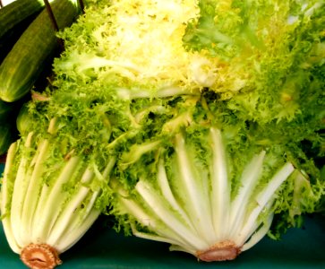 Au marché - salade frisée 2