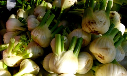 Au marché - Fenouils