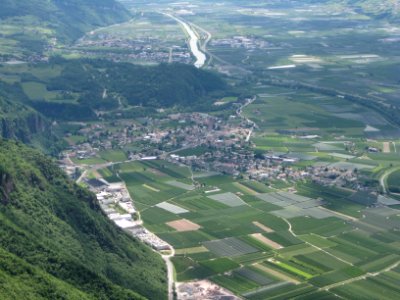 Auer, Neumarkt und Castelfeder