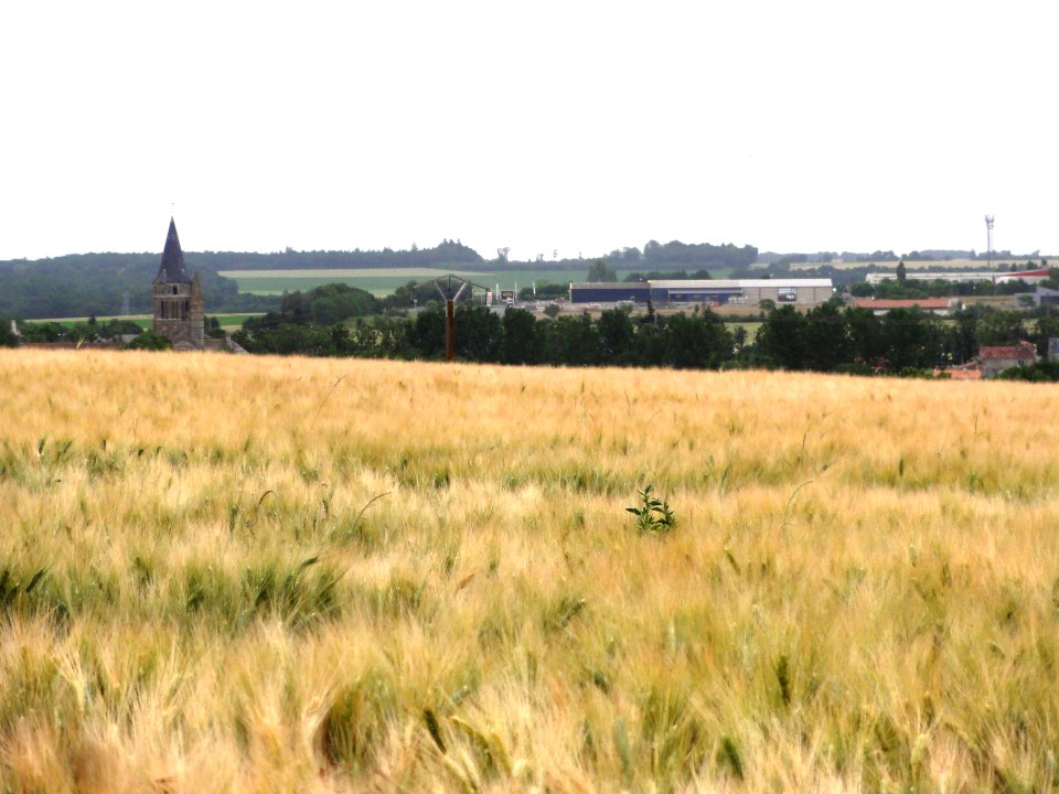 Aulnay-de-Saintonge, paysage avec vue sur le bourg