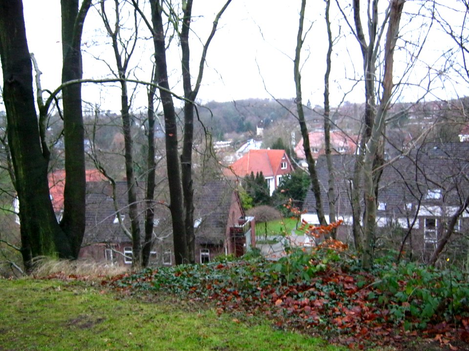 Aussicht vom Burgberg auf Rönneburg