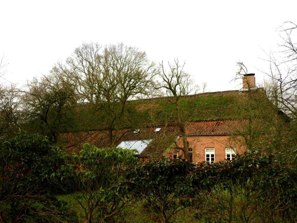 Aurich, Dimmtweg 11