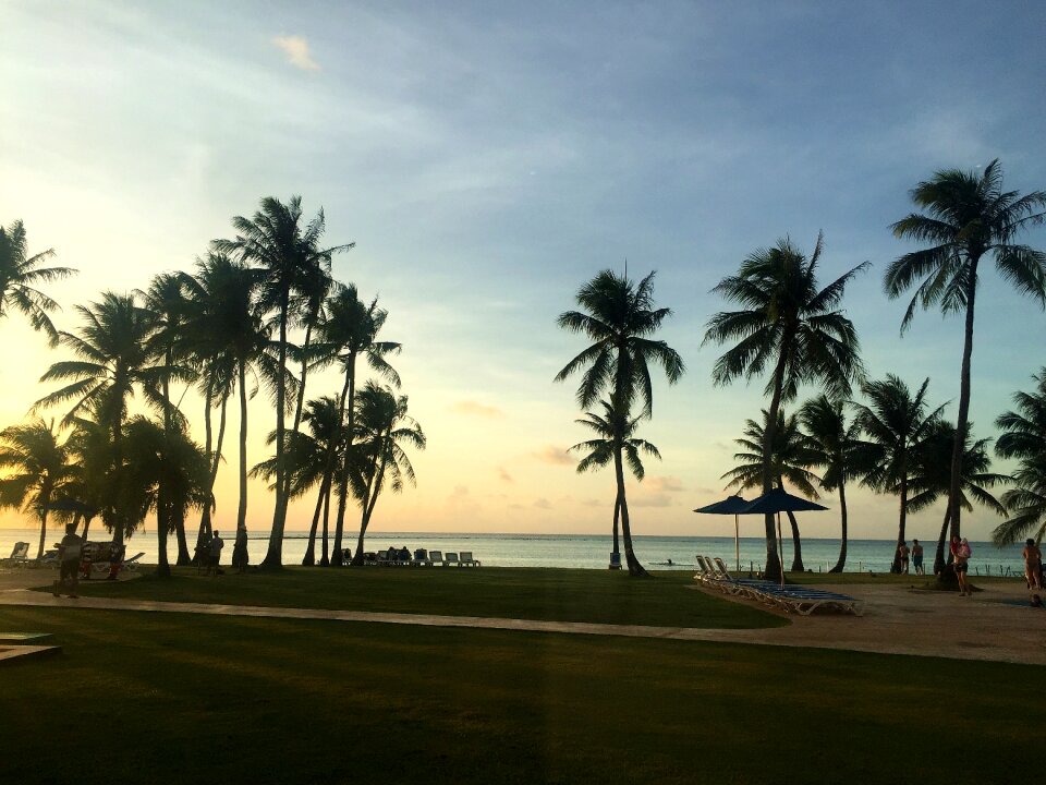 Summer leisurely views