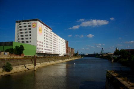 Aurora am Rhein in Köln photo