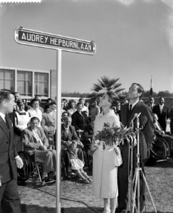 Audrey Hepburn onthult straatnaambordje in Doorn met Mell Ferrer. De onthulling , Bestanddeelnr 910-7182