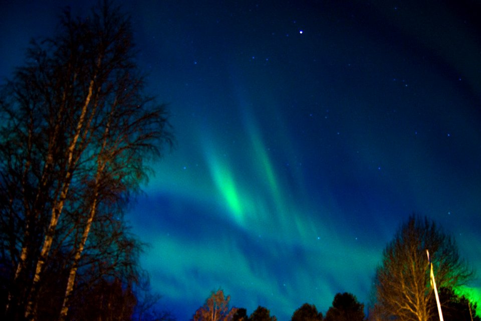 Aurora (177743407)