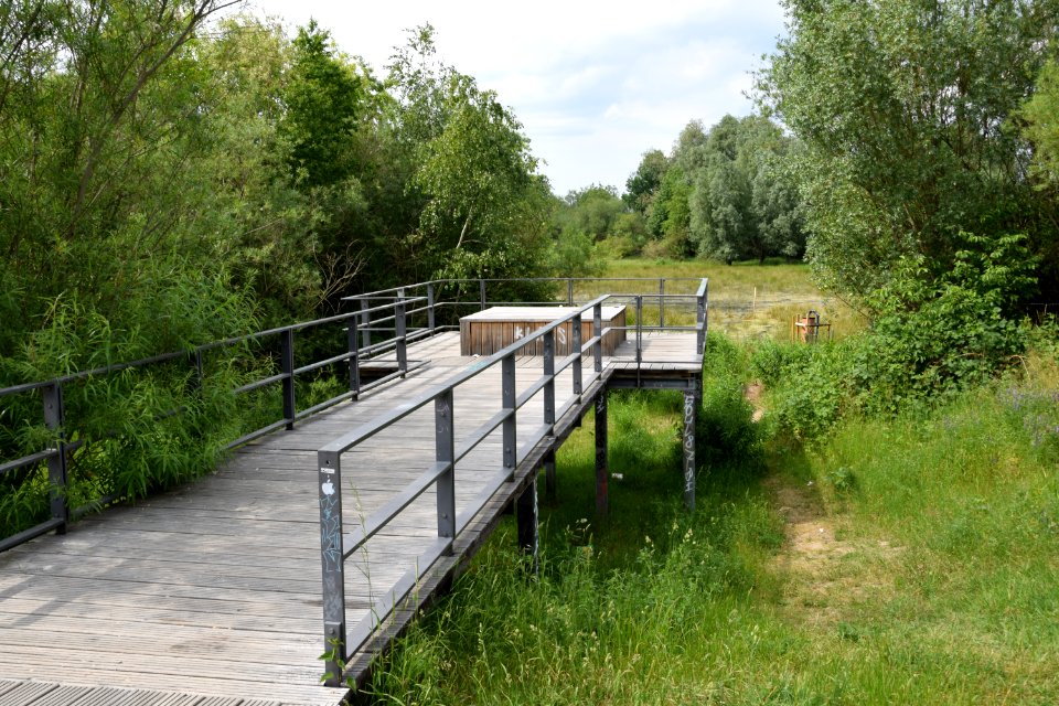 Aussichtsplattform zum Gehrensee (Berlin-Falkenberg) 1v2