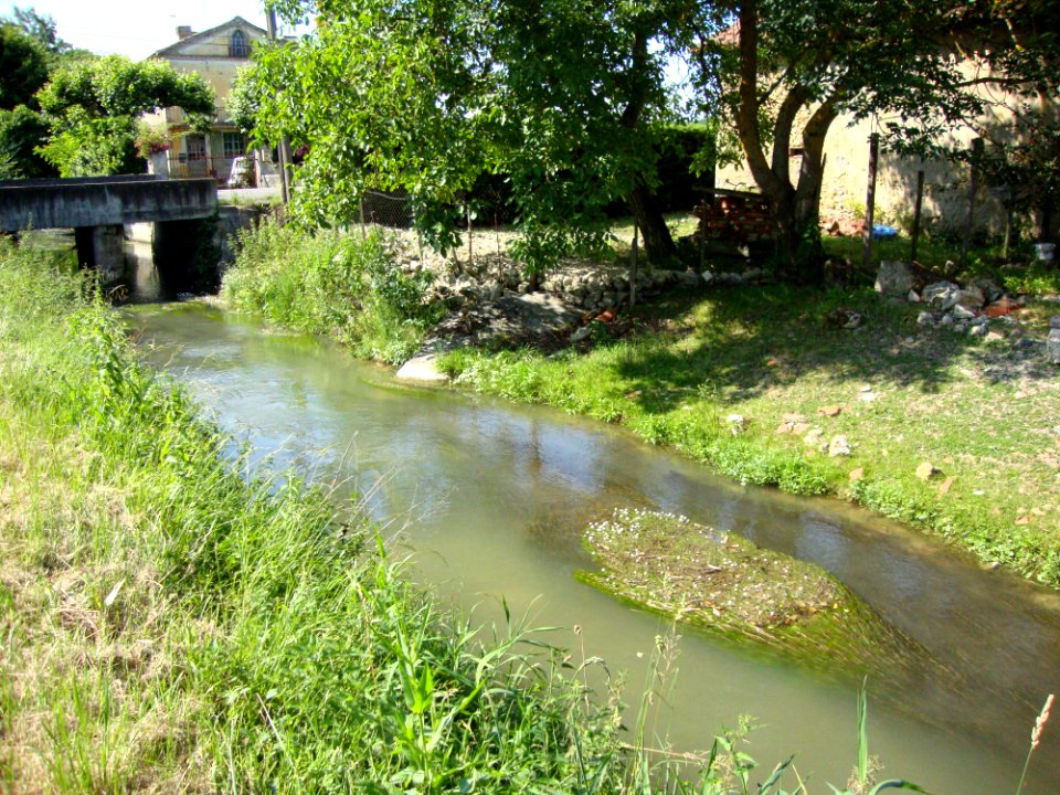 Auriébat (Hautes-Pyr, Fr) Canal d'Alaric