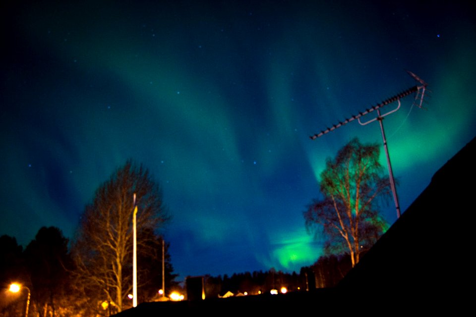 Aurora (177743423)