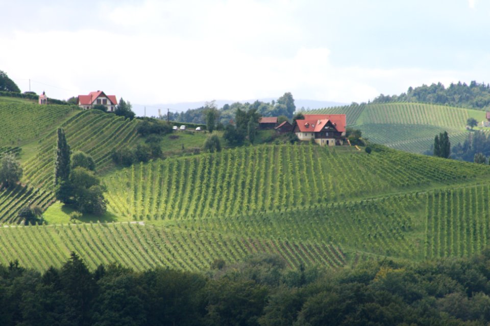 Ausblick auf die Südsteiermark