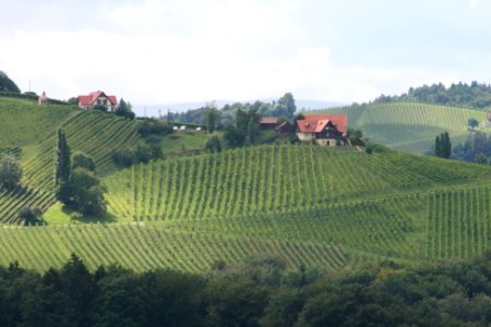 Ausblick auf die Südsteiermark