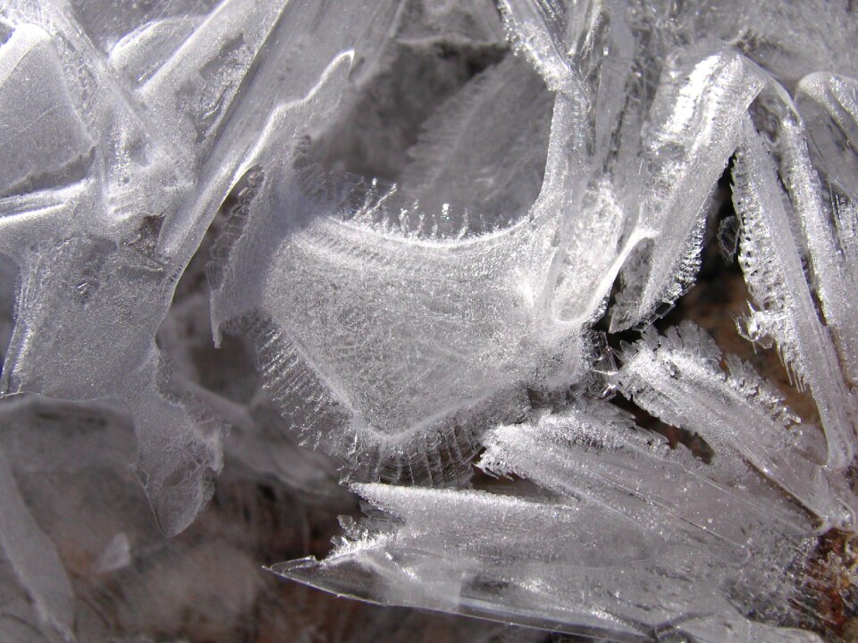 Nature macro glass