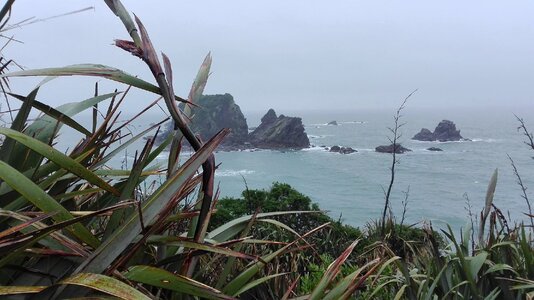 Nature ocean landscapes