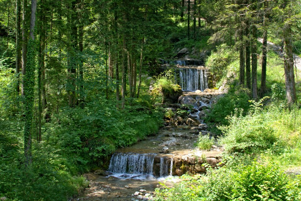 Water bach creek