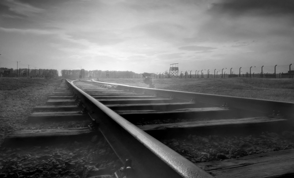 Auschwitz Birkenau (221995473)