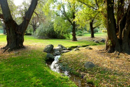 Autumn view - Brooklyn Botanic Garden - Brooklyn, NY - DSC07945