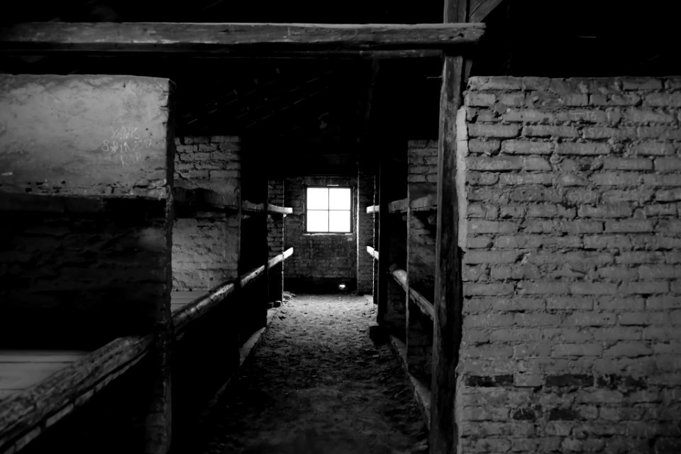 Auschwitz Survivor (221766097)