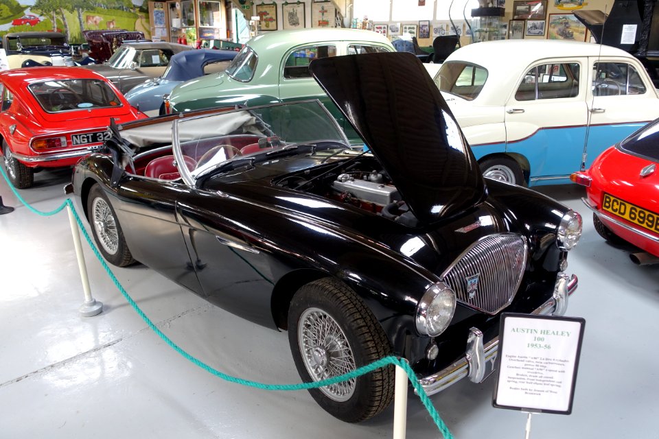 Austin Healey 100 1953-1956 - Bentley Wildfowl and Motor Museum - Halland, East Sussex, England - DSC05807