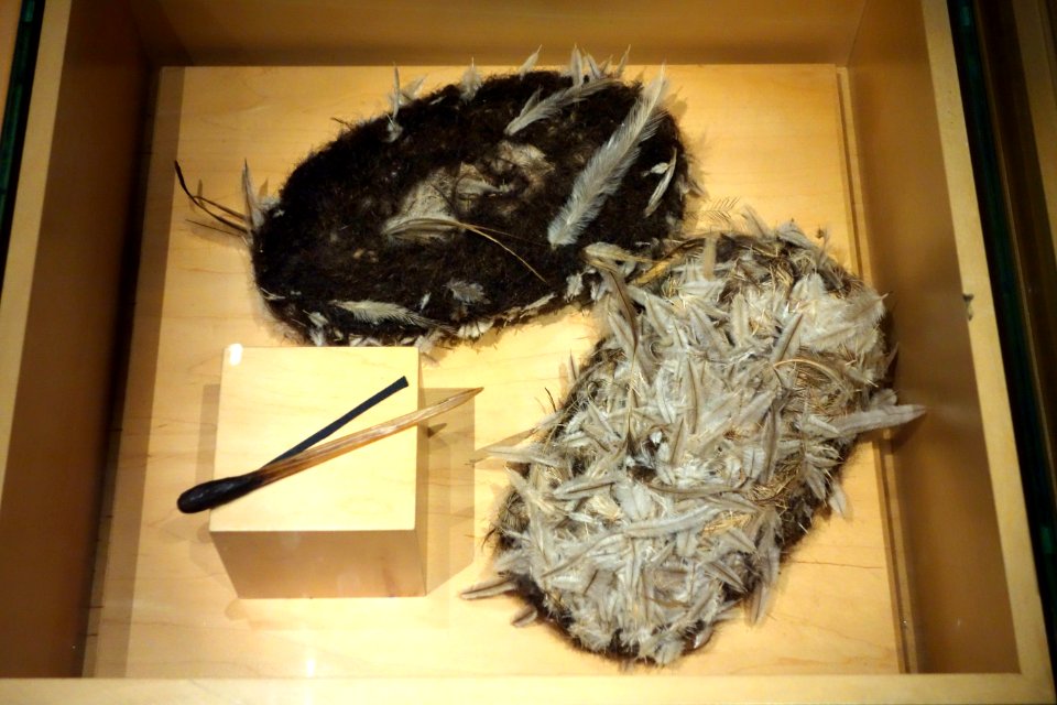 Australian indigenous shoes for Kurdaicha, Arunta area, undated, emu feather and human hair - Bata Shoe Museum - DSC00178