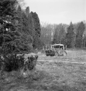 Auto's, bossen, sproeiinstallaties, Bestanddeelnr 253-4396