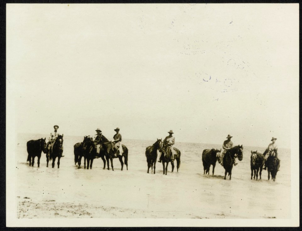 Australian Light Horse at Alexandria, paddling their horses., Bestanddeelnr 158-1547