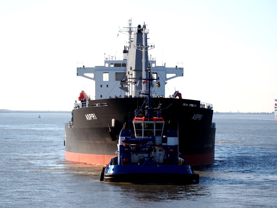 Aspri (ship, 2014) IMO 9658771, Port of Antwerp pic3
