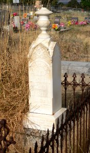 Austin NV cemetery IOOF Johns marker 2