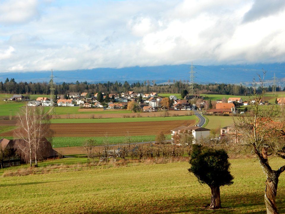 Aspi Gemeinde Seedorf