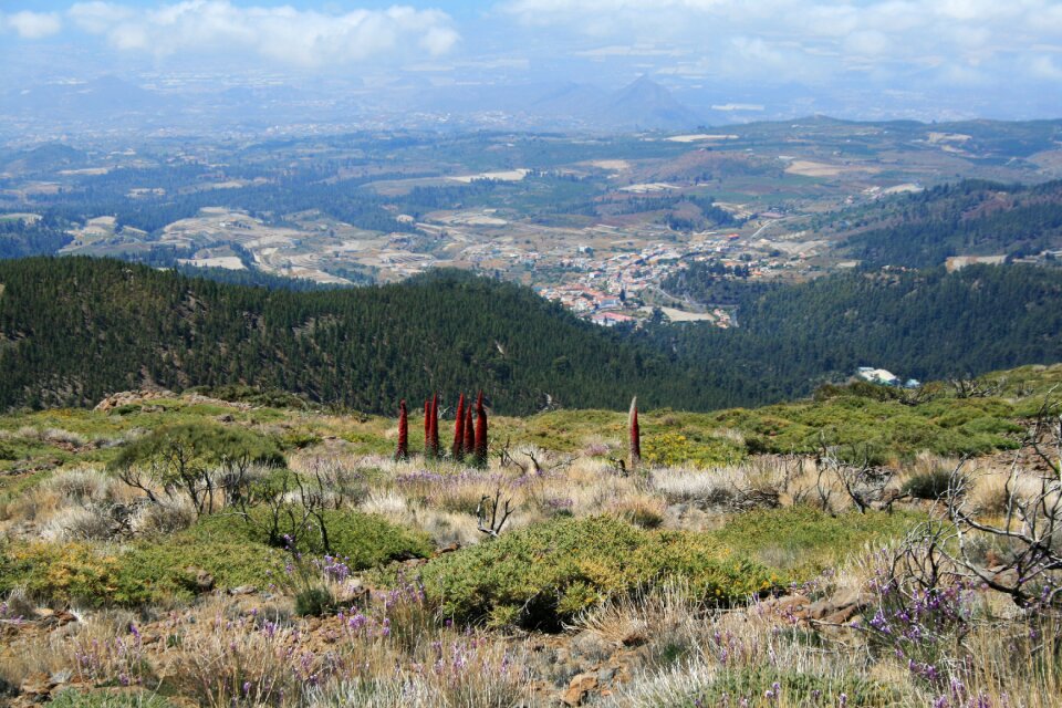 Spain teide nature