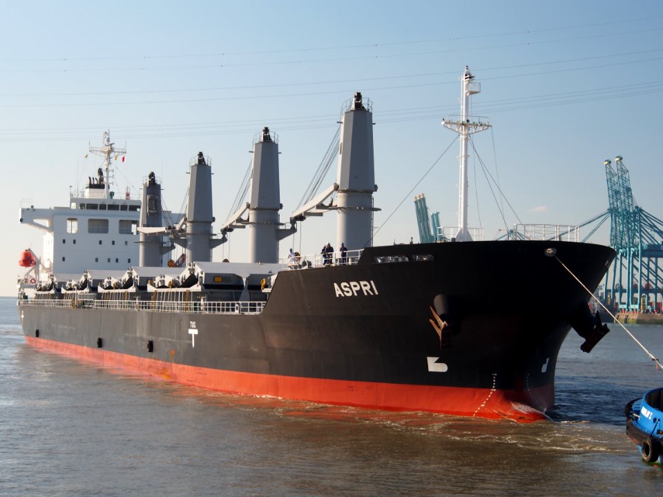 Aspri (ship, 2014) IMO 9658771, Port of Antwerp pic5
