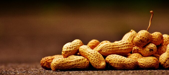 Delicious nutrition peanut photo