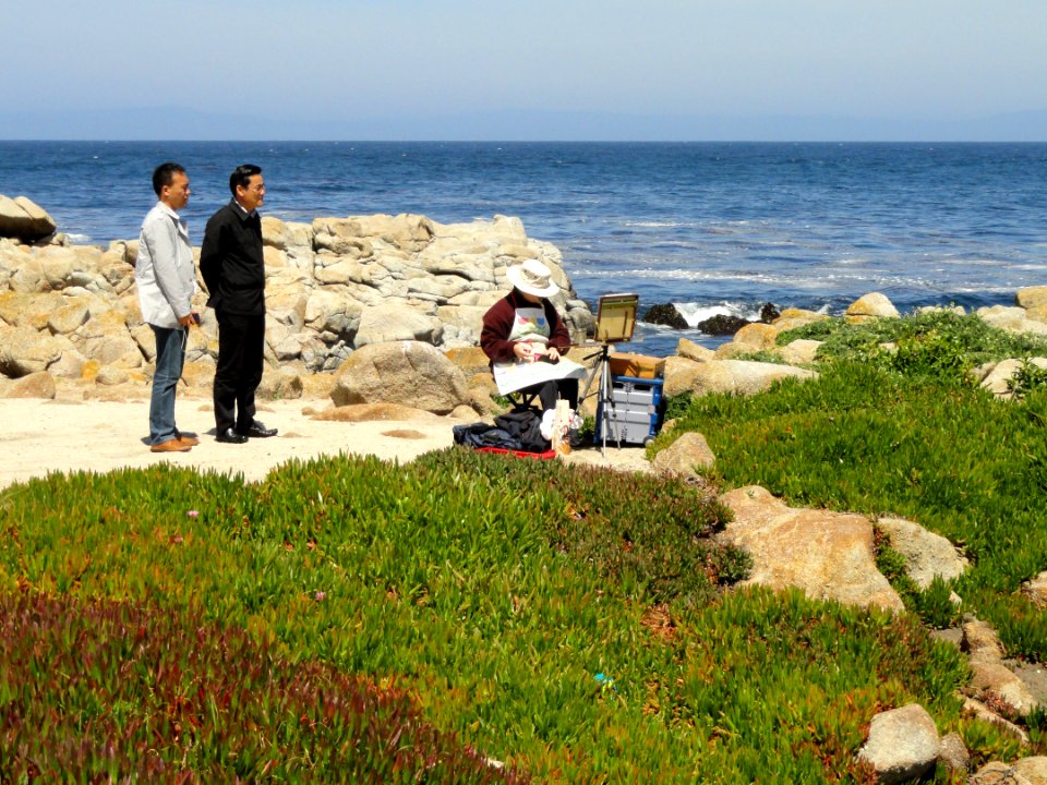 Asilomar State Beach - DSC06566