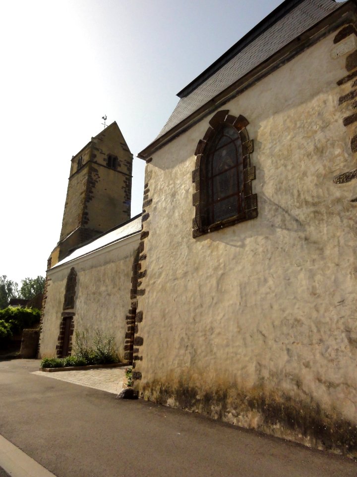 Assé-le-Riboul (Sarthe) église (04)