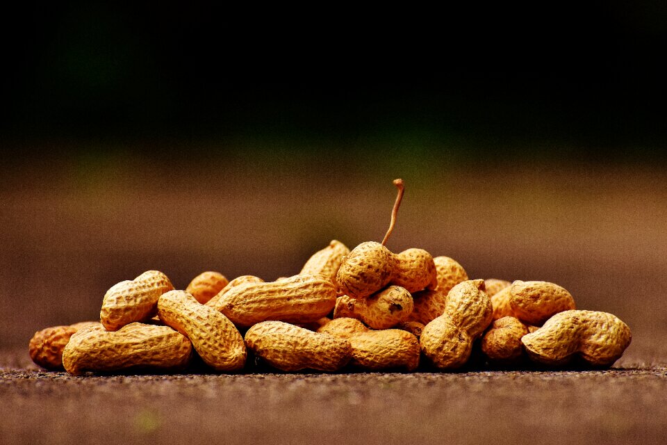 Delicious nutrition peanut