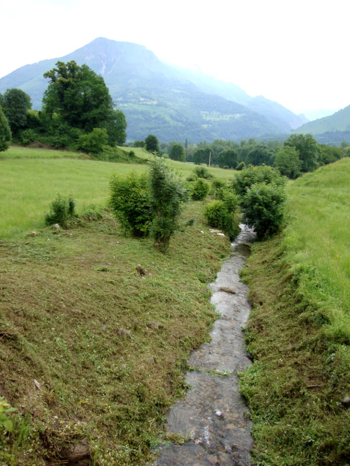Athas (Lées-Athas, Pyr-Atl, Fr) le Malugar (ruisseau) et paysage