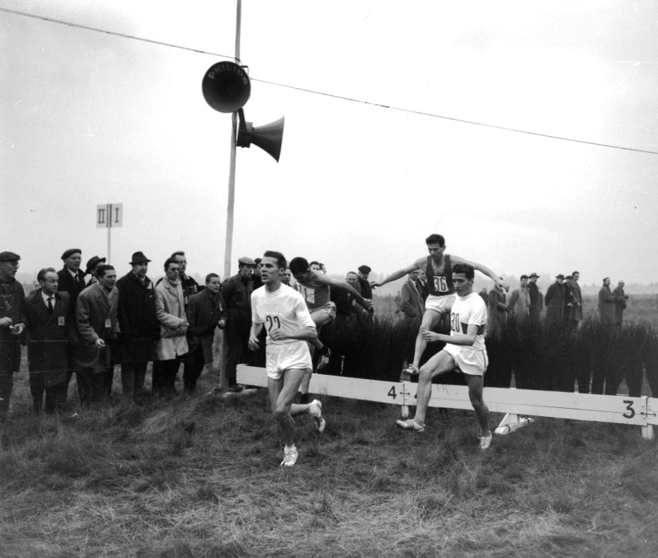 Athletiekcross bij Brussel. Kopgroep neemt hindernis, Bestanddeelnr 913-2008