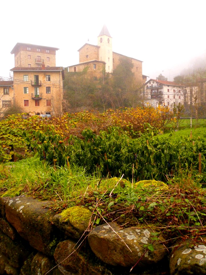 Ataun - Barrio de San Gregorio 22