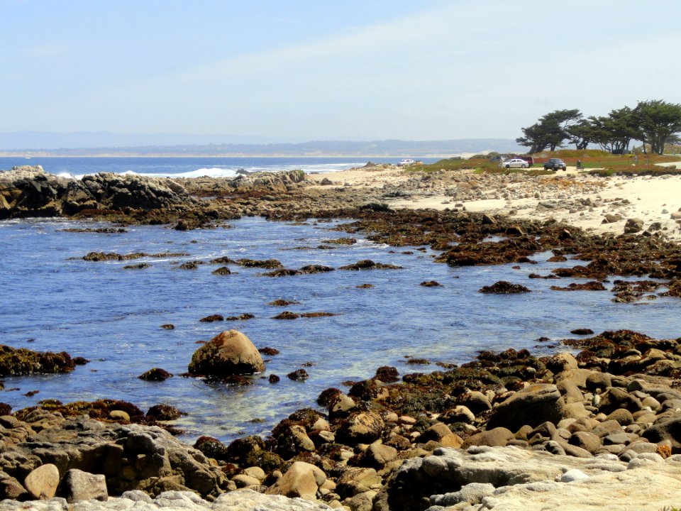 Asilomar State Beach - DSC06567