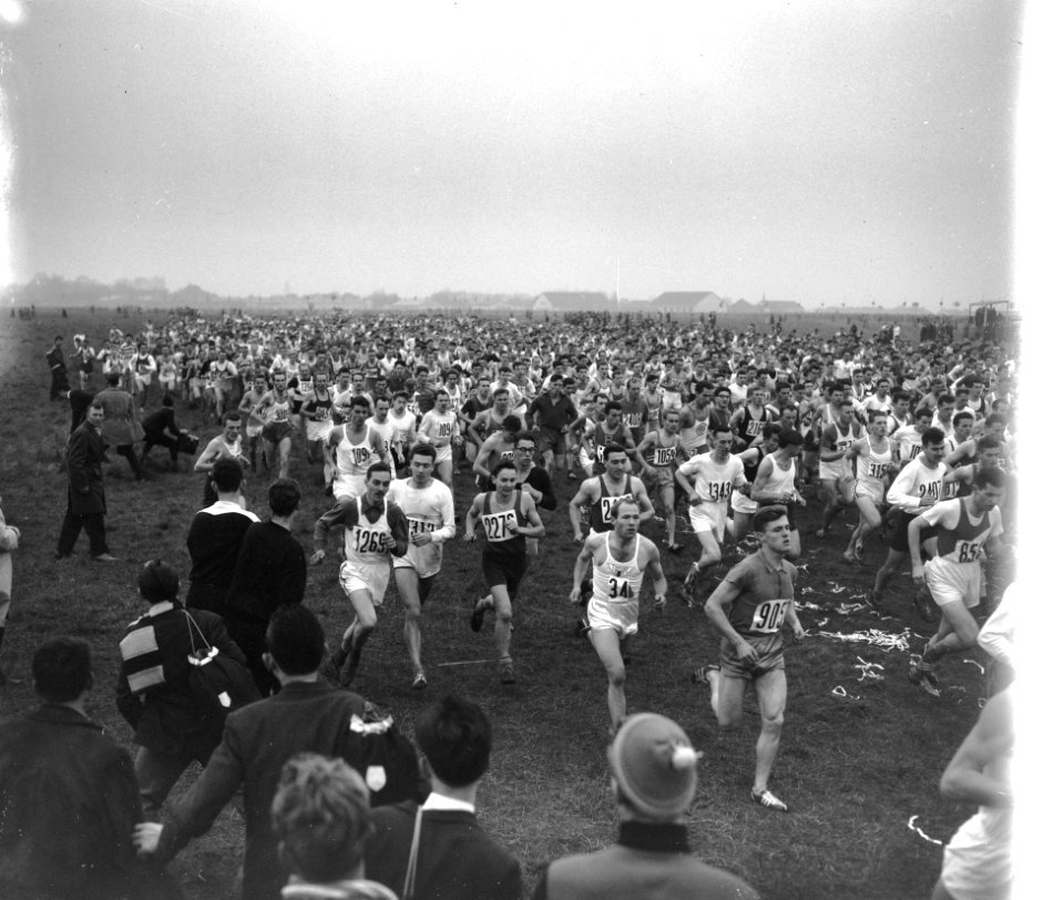 Athletiekcross bij Brussel, Bestanddeelnr 913-2002