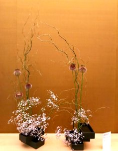 Asian Art Museum SF Sogetsu free-style arrangement