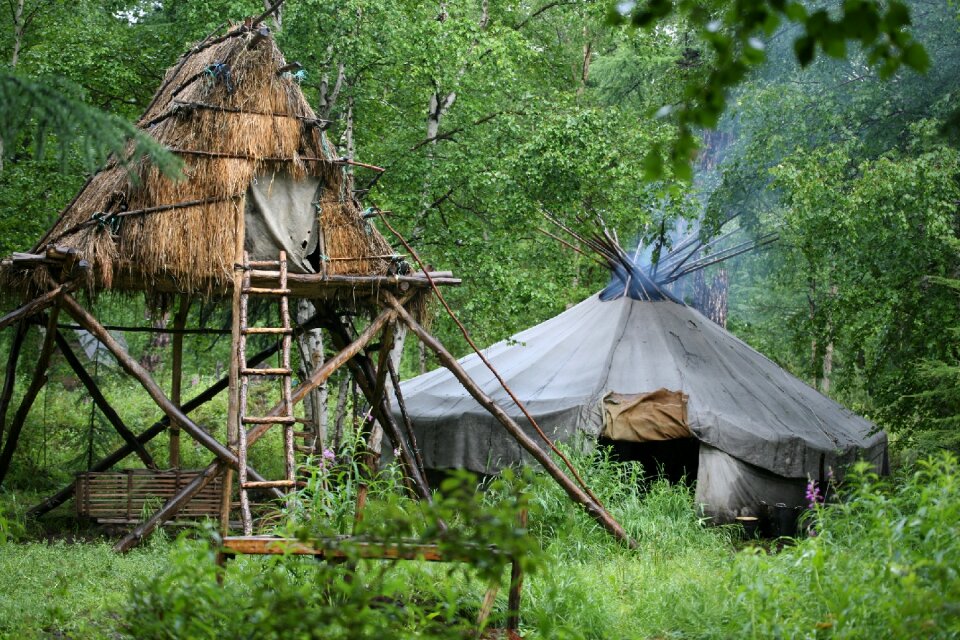 National dwelling evens forest shearling