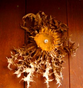Ataun - Barrio de San Gregorio, Museo Barandiaran 05