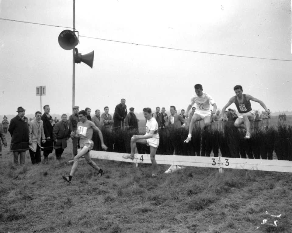 Athletiekcross bij Brussel. Overzicht, Bestanddeelnr 913-2003