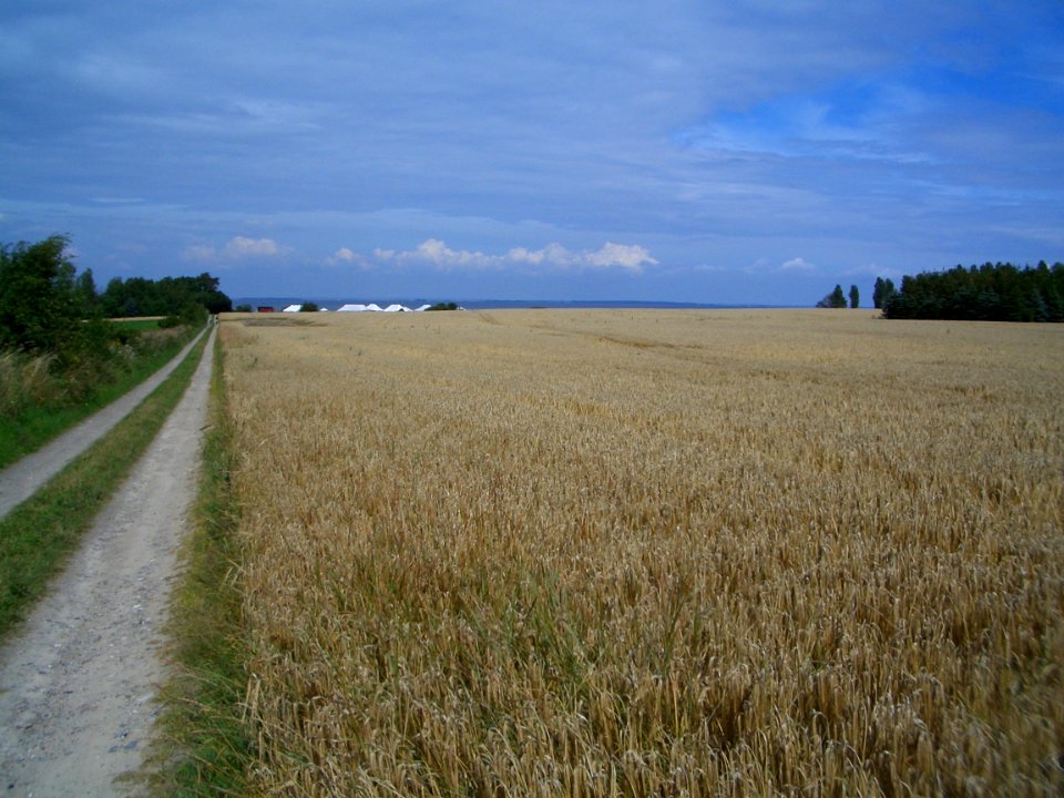 At the end of the road the white tents