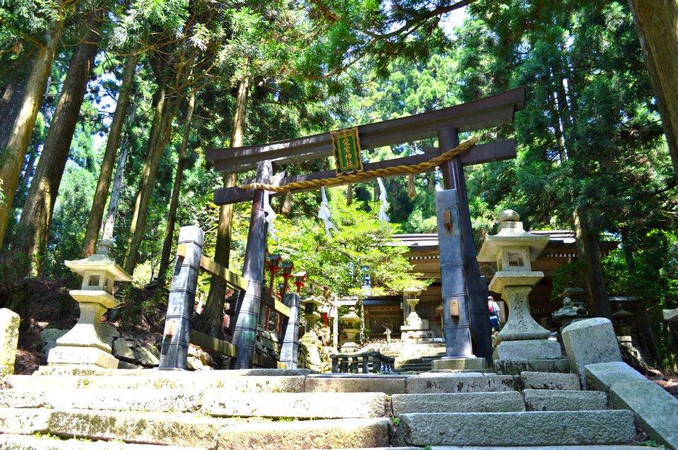 Atago-jinja (Kyoto) torii