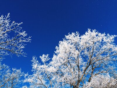 Winter blue frozen