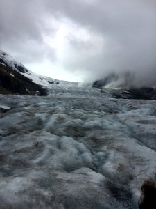 Athabasca Glacier as seen from its foot