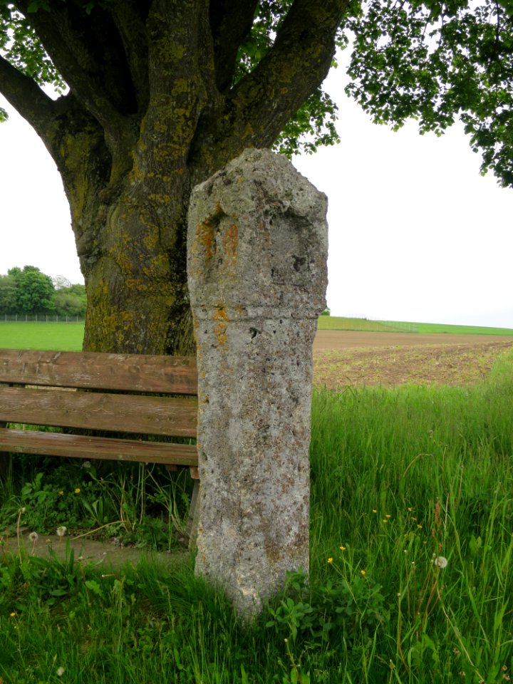 Aschbacher Feld Eisenbartling 1